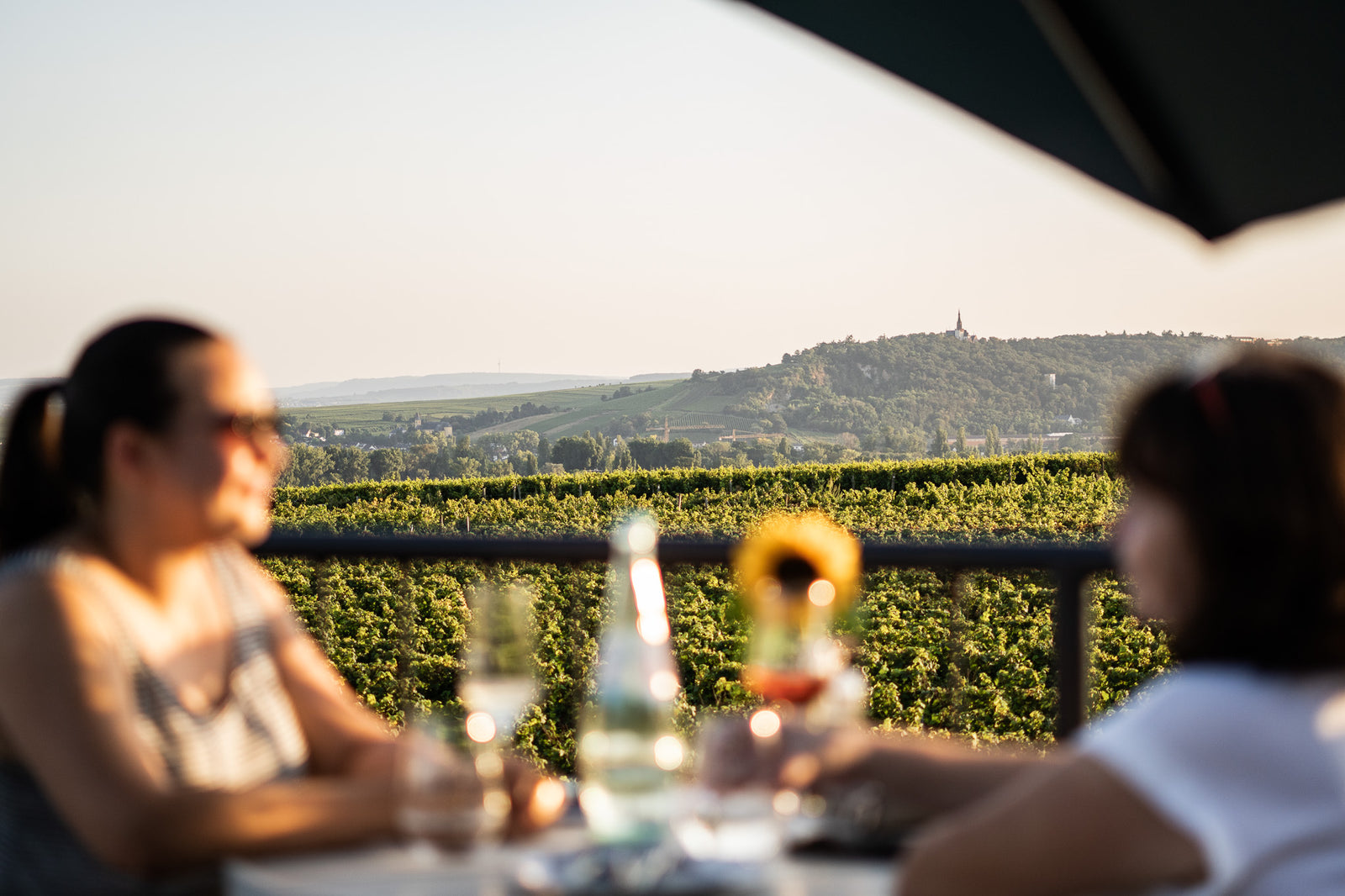 SOMMER-STRAUSSWIRTSCHAFT 1.0